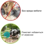 Іграшка на присосці для собак (синій червоний зелений) - Зображення 4