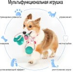 Іграшка на присосці для собак (синій червоний зелений) - Зображення 6
