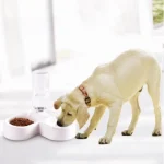 Миска для кошек и собак двойная Pet Love Bowl автопоилка на підставці з відділом для корму - Зображення 7
